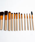 Set of makeup brushes with wooden handles and black bristles on a white background