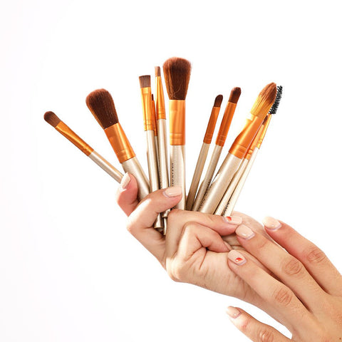 Hand holding a set of makeup brushes against a white background