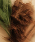 Brown textured object and green leaf on a wooden surface