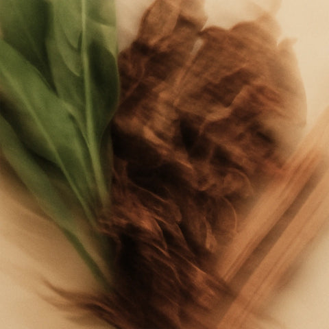 Brown textured object and green leaf on a wooden surface