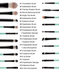 Set of 20 makeup brushes with names and numbers on a white background