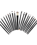 Set of 24 makeup brushes arranged in a semi-circle on a white background